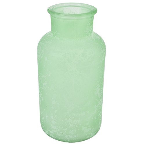 Flasche Deko Vase Glas 17x8x8cm Tischdeko
