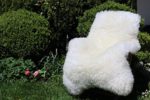 Schaffell Lammfell Merinoschaf groß 130-140cm Weiß ökologische Gerbung