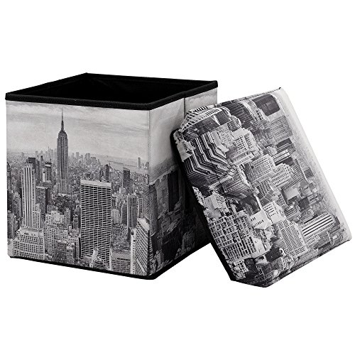 [en.casa] Faltbarer Sitzhocker (30 x 30 x 30 cm) zugleich Aufbewahrungsbox - Motiv "New York"
