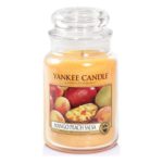 Yankee Candle 1114681E Mango Peach Salsa Grosses Jar