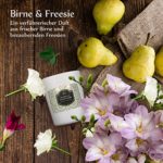 Anjou Duftkerzen 4-Duftvarianten Aromatherapie Set perfektes Geschenk aus umweltfreundliches biologisches Sojawachs, lange Lebensdauer mit 20-25 Stunden