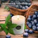 Anjou Duftkerzen 4-Duftvarianten Aromatherapie Set perfektes Geschenk aus umweltfreundliches biologisches Sojawachs, lange Lebensdauer mit 20-25 Stunden