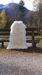 Felltrade Merino Schaffell Lammfell groß 130-140 cm weiß ökologische Gerbung