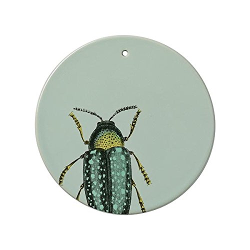 Bloomingville Wandteller Teller für die Wand mit trendigem KÄFER Motiv Platter for deco, Beetle D14cm