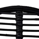 Festnight Esszimmerstühle Küchenstuhl Stuhl Set 2 Stk. Rattan Natur Schwarz